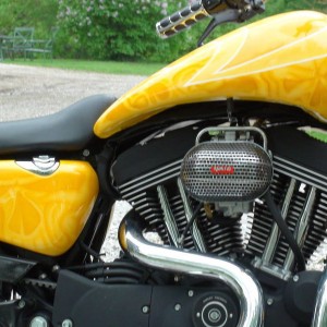 06 sportster 2