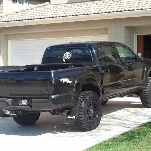 Tail Blacks and Box
