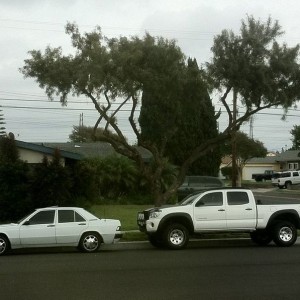 Random pic from earlier.. :cool: