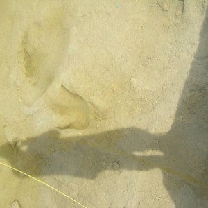 Copy_2_of_Summer_Camping2010_061