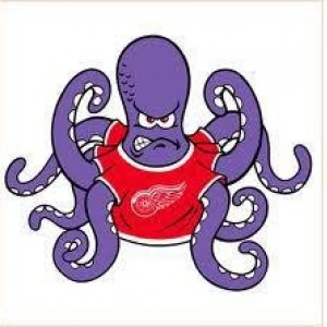 Octopi
