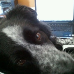 Mine too. He sneaks in and pushes the computer back.