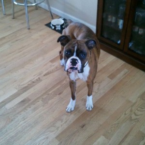 This is chunk