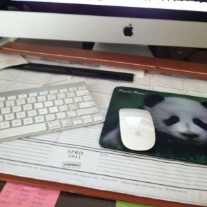 I held a panda in china and all o got was this lousy mouse pad
