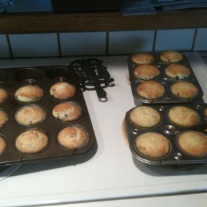 blueberry muffins i baked today. they are yummy!