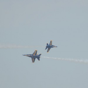 DSC_0505_v1-1280