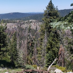 20190804_184638