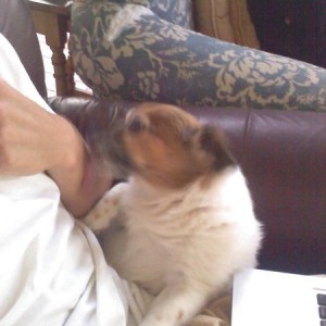 so annoying yet so loving