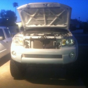 Busy night on the taco