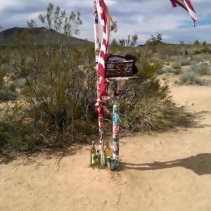 Mojave_run_5