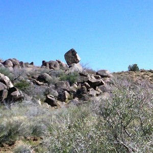 Mojave_run_11