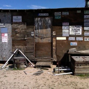 Mojave_run_15
