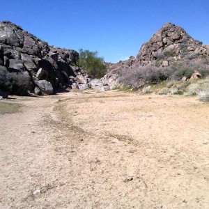 Mojave_run_13