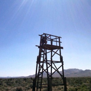 Mojave_run_16