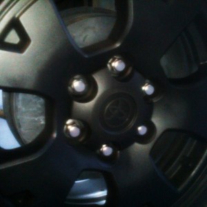 Tried to get up close...still need a new camera
