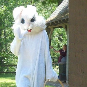 Rabbit!