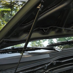 Hood supports