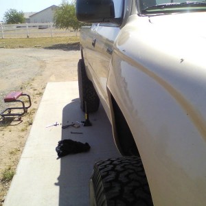 fender