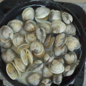 Steamed clams in dos equis bkirkner