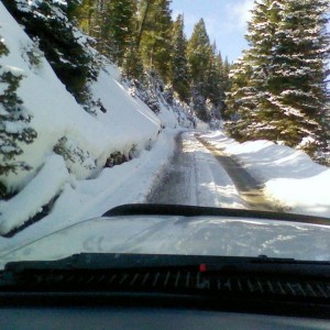 bridgers2