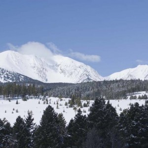 bridgers