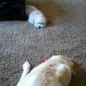 Lazy girls