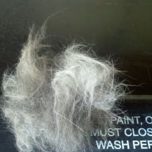 This is the 5th time i have defurred the dog.... that is only 1/4 of what i