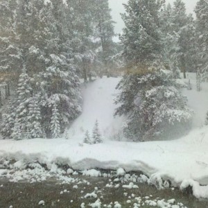 Out the window at the office, still falling.