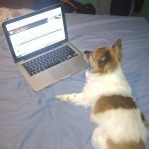 dog likes lookin at TW as much as me!