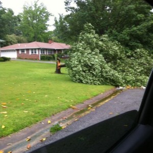 Tree down in neighborhood as I left for work today... More bad storms on th