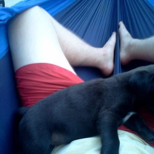 Passed out in the hammock