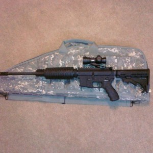 gun_case1