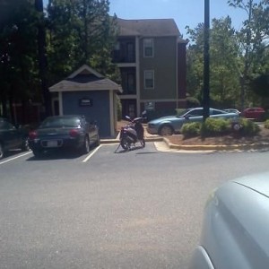 the dike that drives this stupid moped keeps parking it in a WHOLE SPOT! we