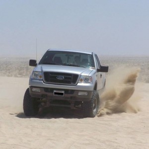Ocotillo