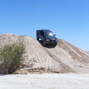 Ocotillo