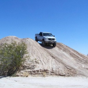 Ocotillo
