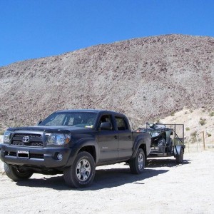 Ocotillo