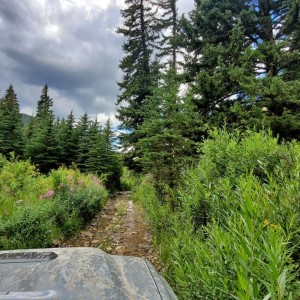 20190809_134343-01