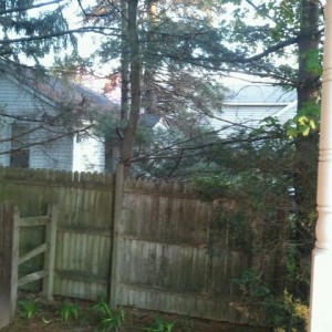 Neighbor's shack...fuckin neighbors