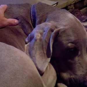 My buddy