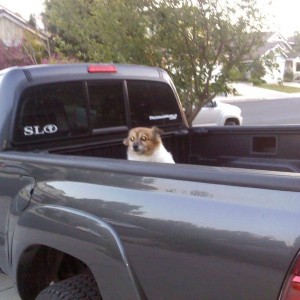 bella doesnt like being in the back haha.