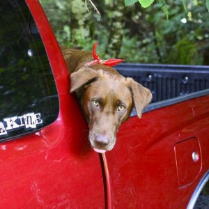 Sept_7_2010_-_12