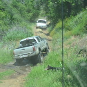 Cedar Creek