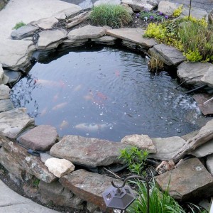 pond