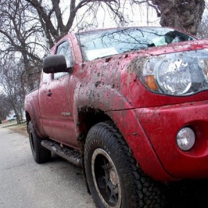 2011 Red TX