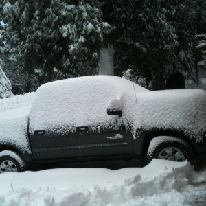 SnowTaco