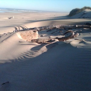 IMG00062-20100823-0806