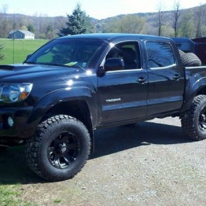 2011_taco1