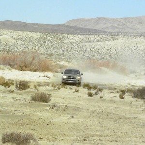 DSCN0525