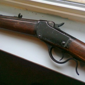.22 winchester